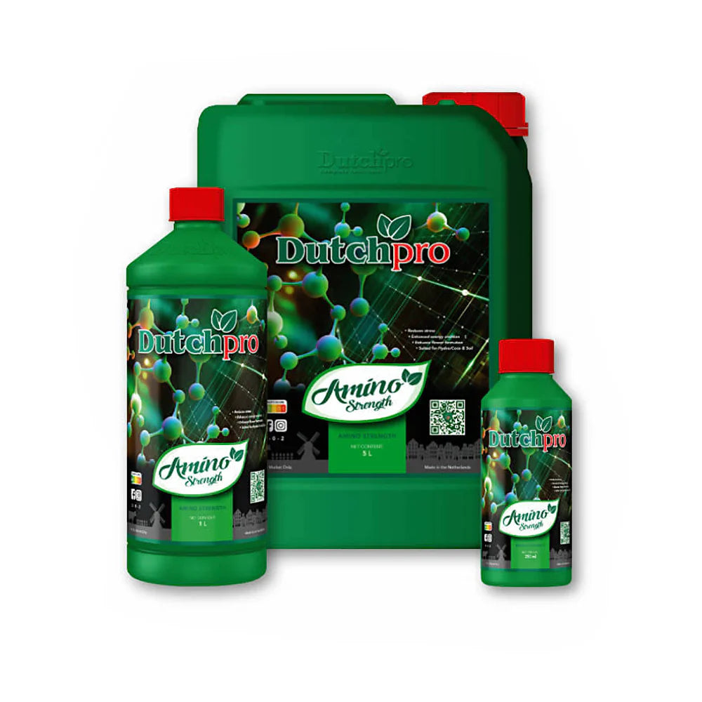 Dutch Pro - Amino Kraft