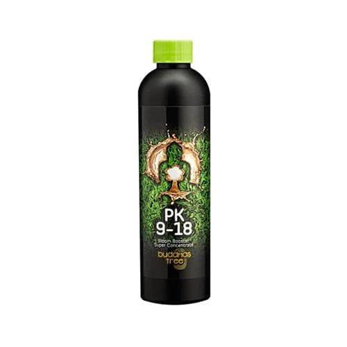 Buddhas Baum PK 9-18