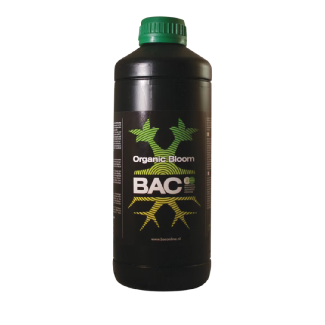BAC - Organischer Bloom