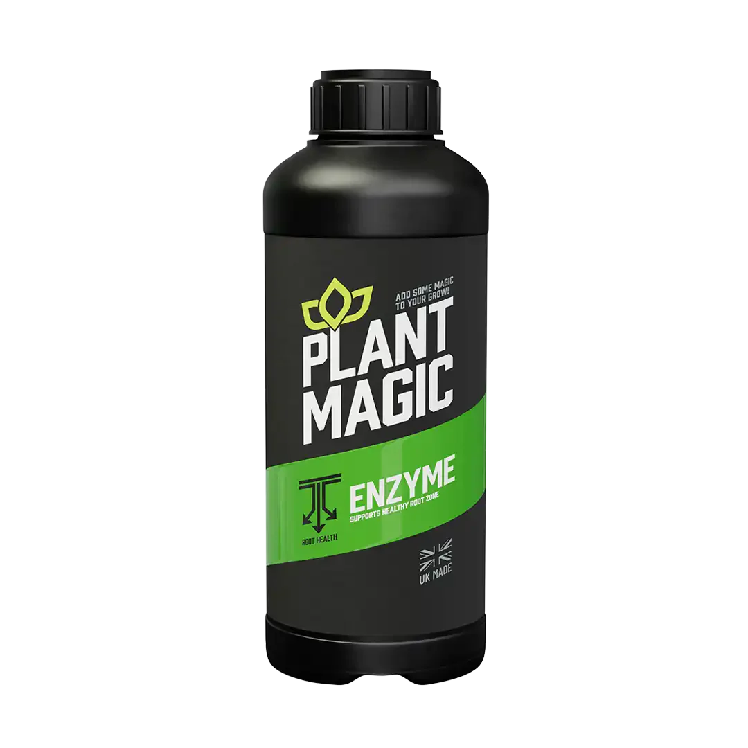 Plant Magic Enzym