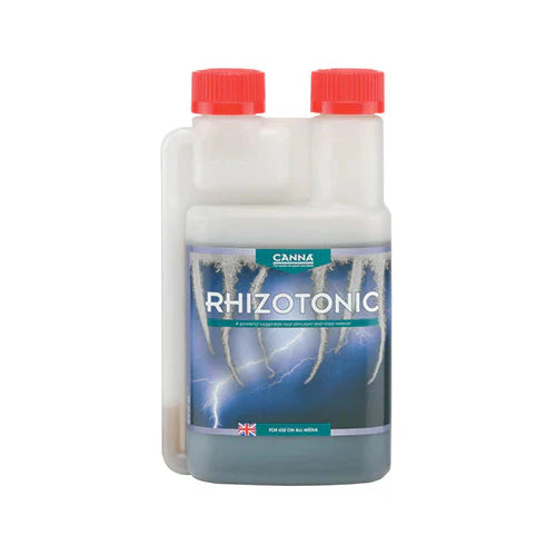 Canna - Rhizotonic
