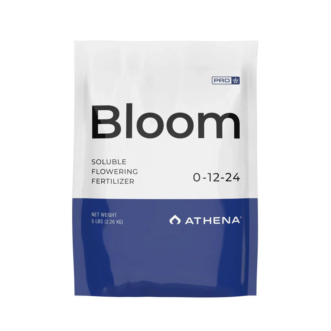 Athena Pro Line Blüte
