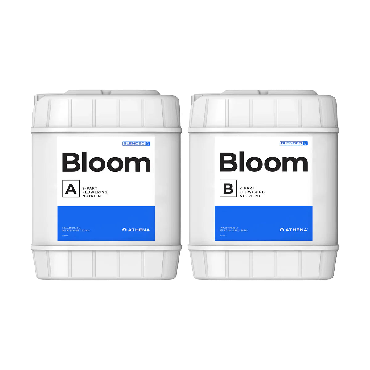 Athena Gemischter Bloom AB