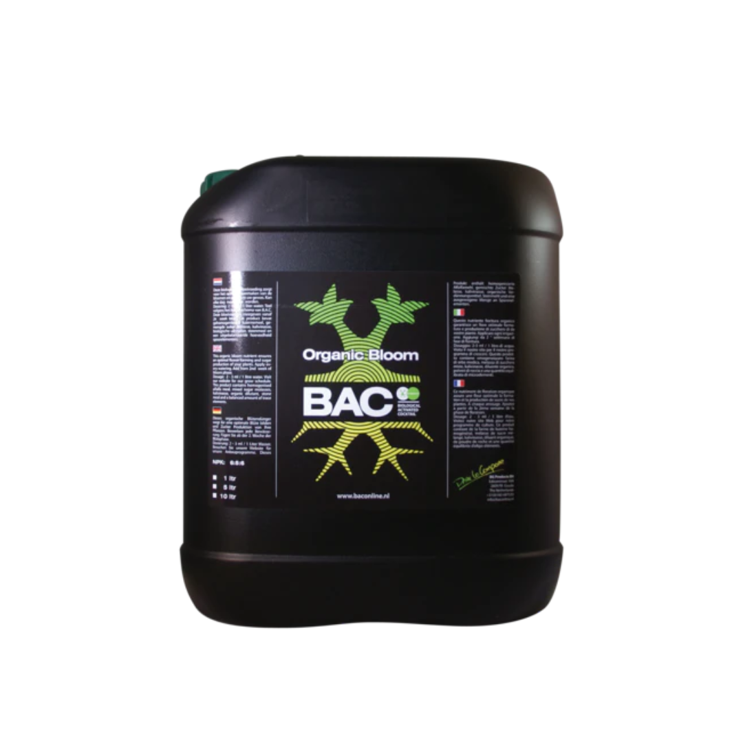 BAC - Organischer Bloom