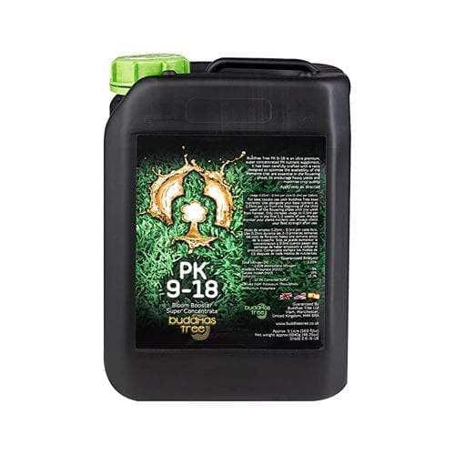 Buddhas Baum PK 9-18
