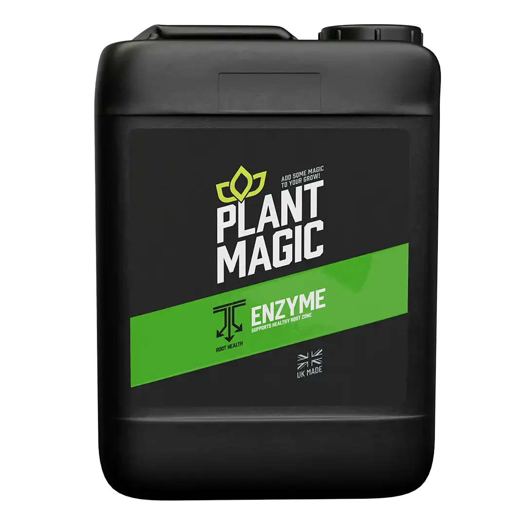 Plant Magic Enzym