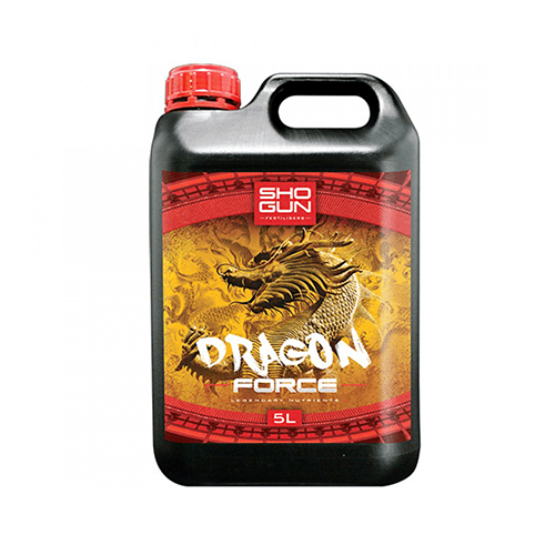 Shogun - Drachenkräfte