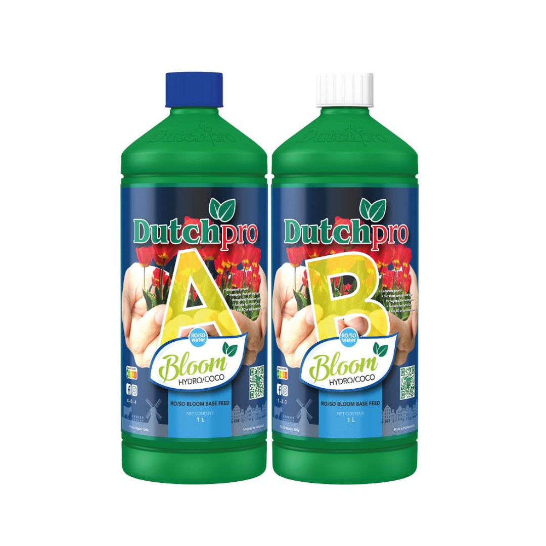 Dutch Pro Boden Bloom A+B