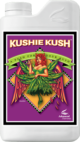 Fortgeschrittene Nährstoffe Kushie Kush