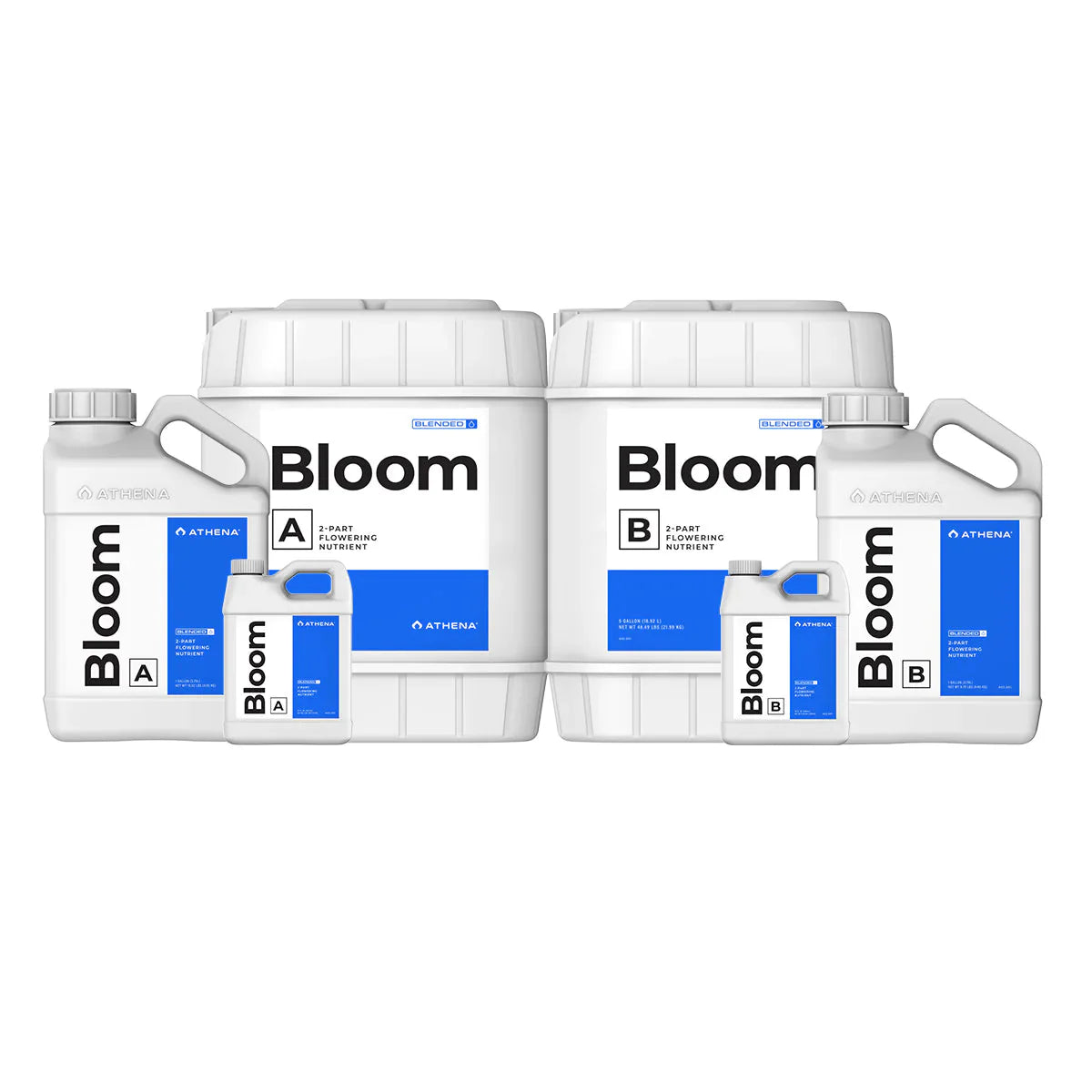 Athena Gemischter Bloom AB