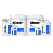 Athena Gemischter Bloom AB