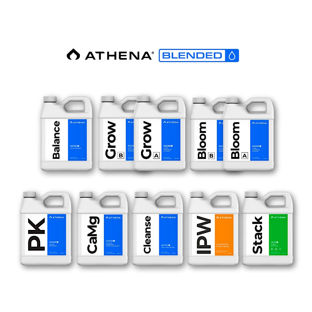 Athena Gemischtes Starterset - Mini Komplett