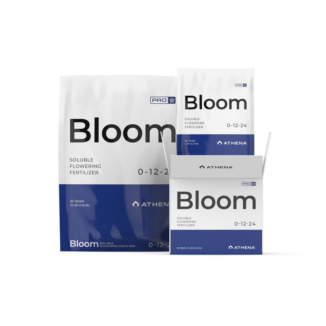 Athena Pro Line Blüte