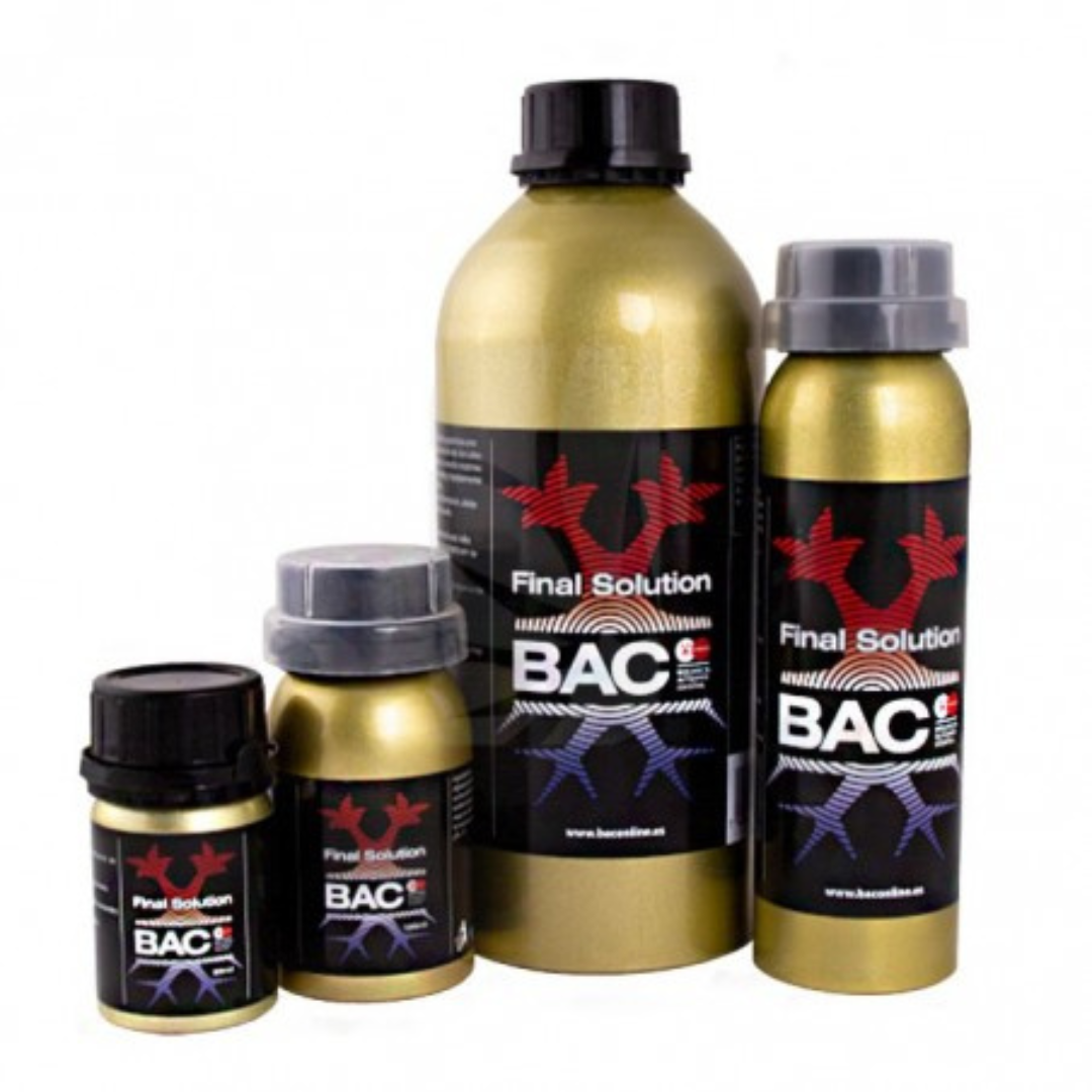 BAC – Endgültige Lösung