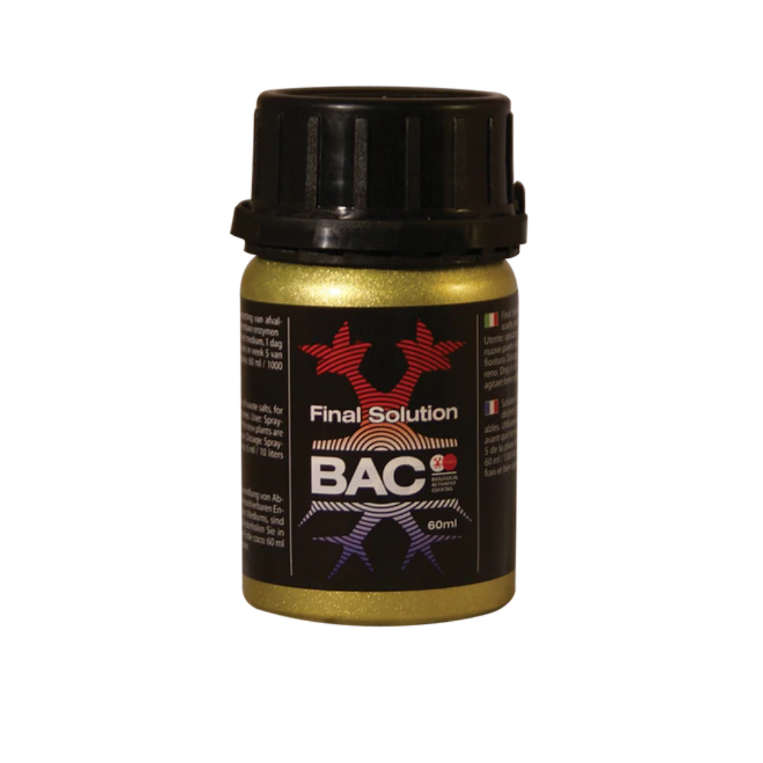 BAC – Endgültige Lösung