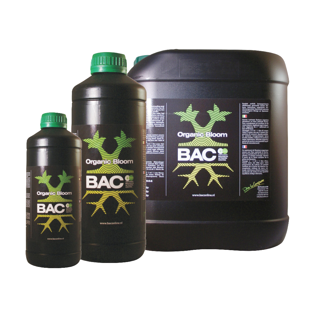 BAC - Organischer Bloom