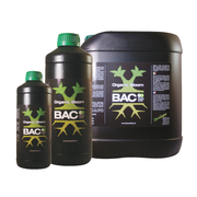 BAC - Organischer Bloom