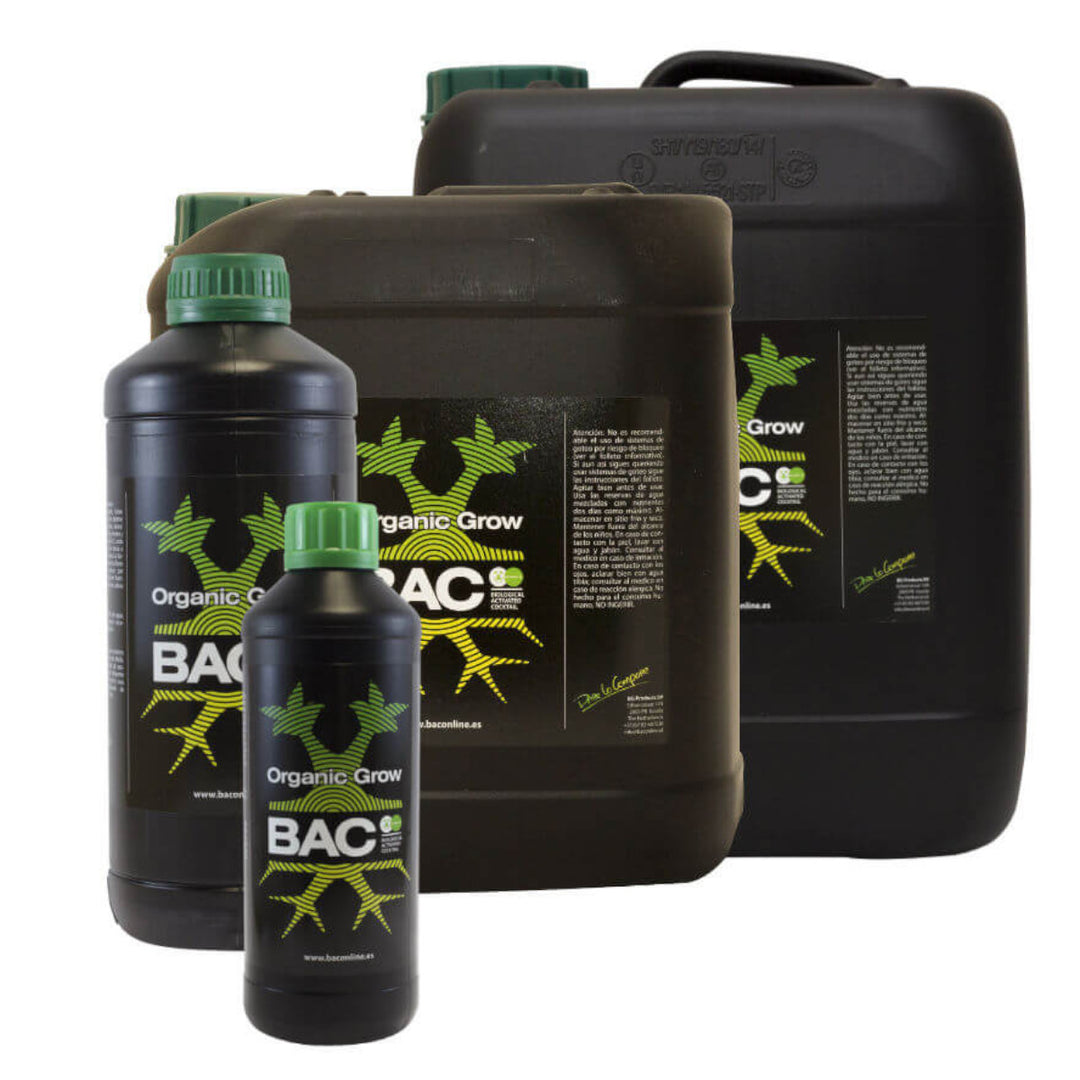 BAC – Organisches Wachstum