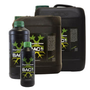 BAC – Organisches Wachstum
