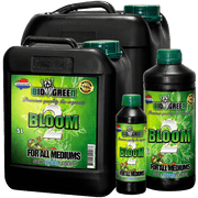 Biogreen - Blume