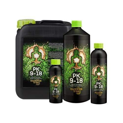 Buddhas Baum PK 9-18