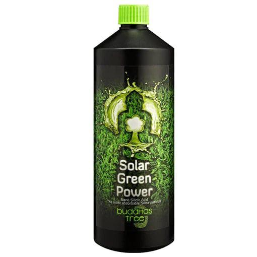 Buddhas Baum Solar grüne Energie