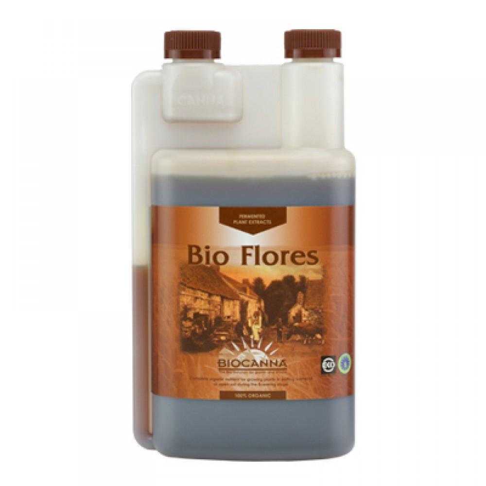Canna - Bio Blüten