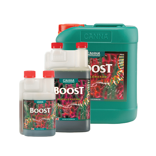 Canna - Boost Beschleuniger