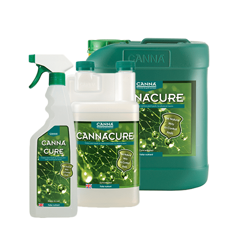 Canna Cure Konzentrat