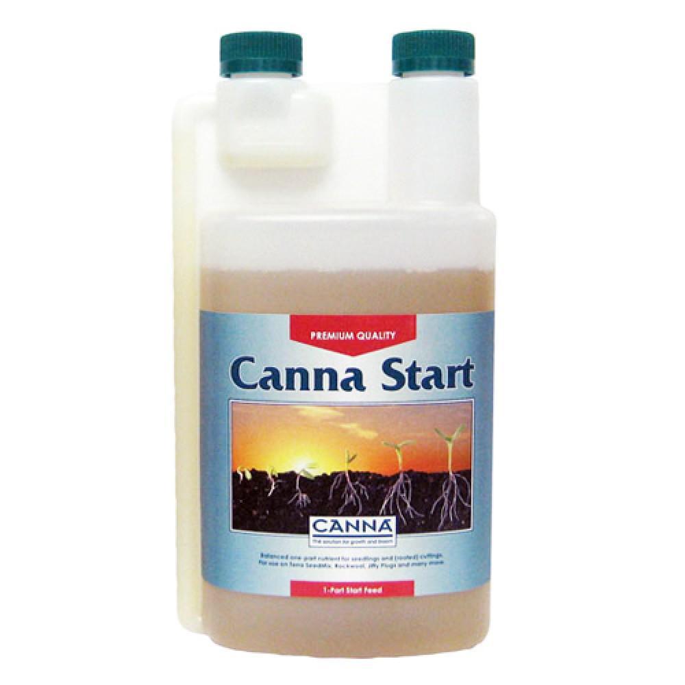 Canna - Start