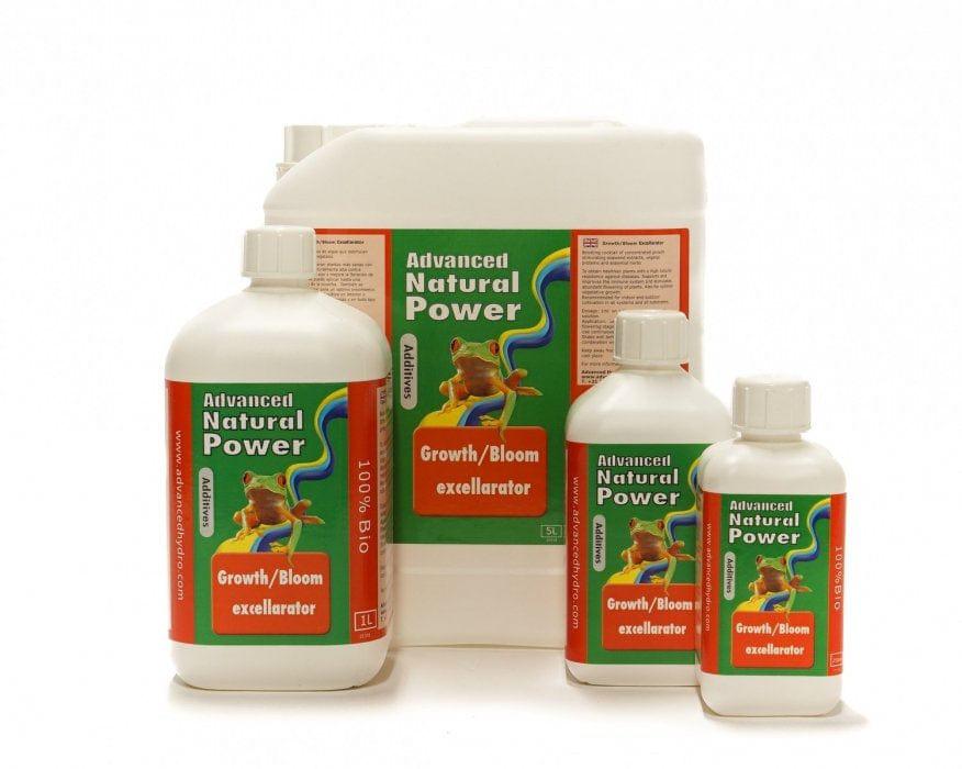Niederländische Formula Growth/Bloom Excellarator