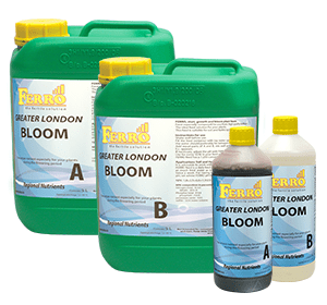 Ferro - Bloom A-B Greater London