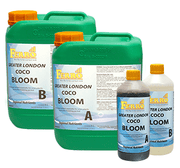 Ferro - COCO Bloom A-B Großraum London