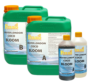 Ferro - COCO Bloom A-B Großraum London