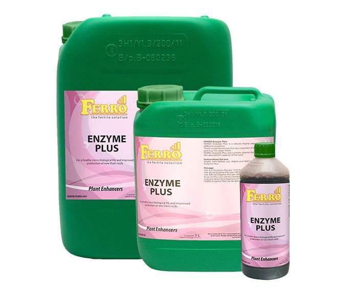 Ferro - Enzym Plus