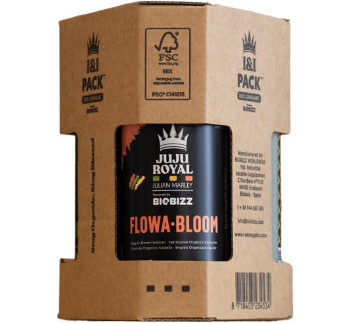 Juju Royal - I & I Starterpaket
