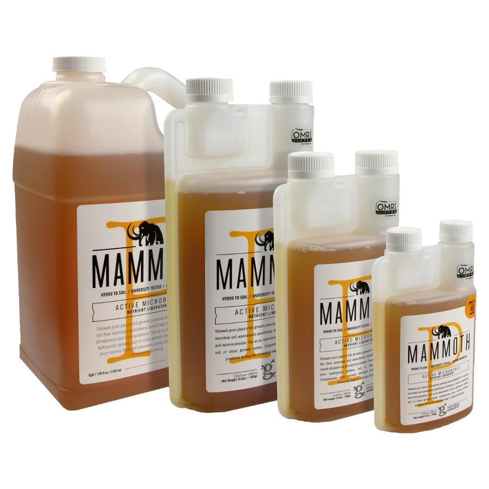 Mammut P