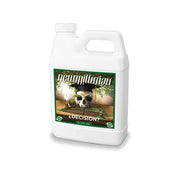 Neues Millennium Decision 1L