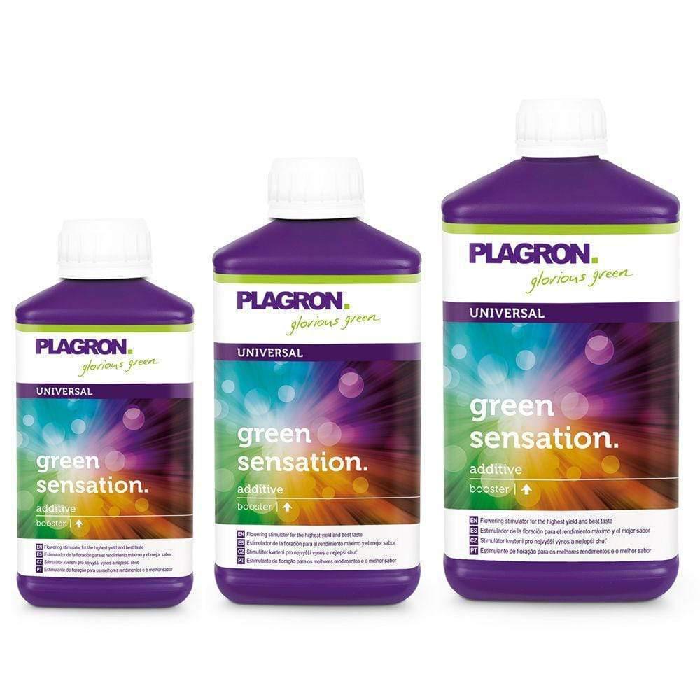 Plagron Grüner Sensation