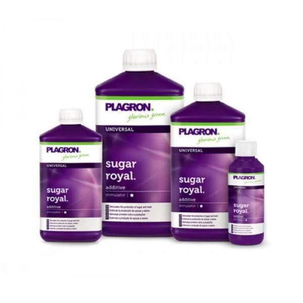 Plagron Zucker Royal