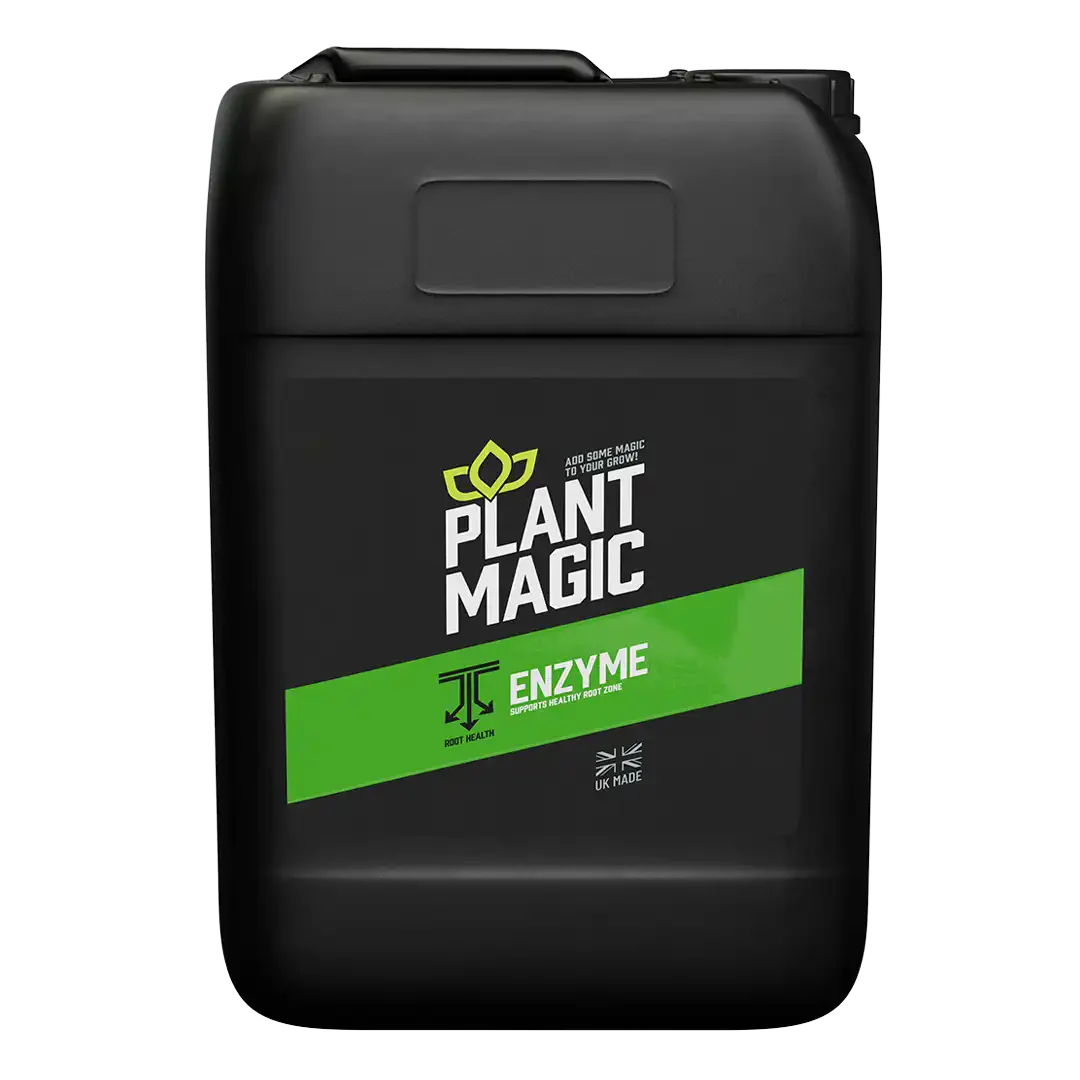 Plant Magic Enzym
