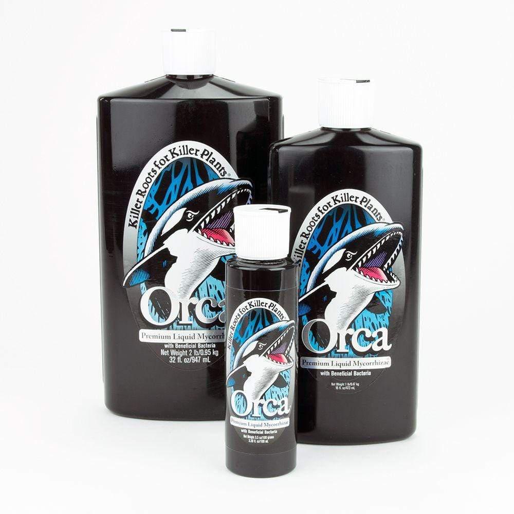Pflanzen Erfolg - Orca