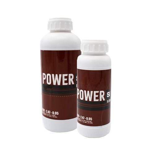 Power Si - Blüte