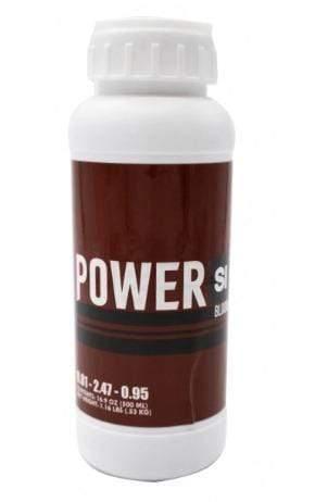 Power Si - Blüte