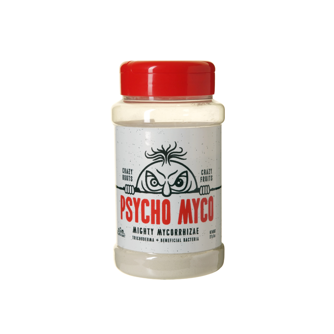 Psycho Myco – Mykorrhiza