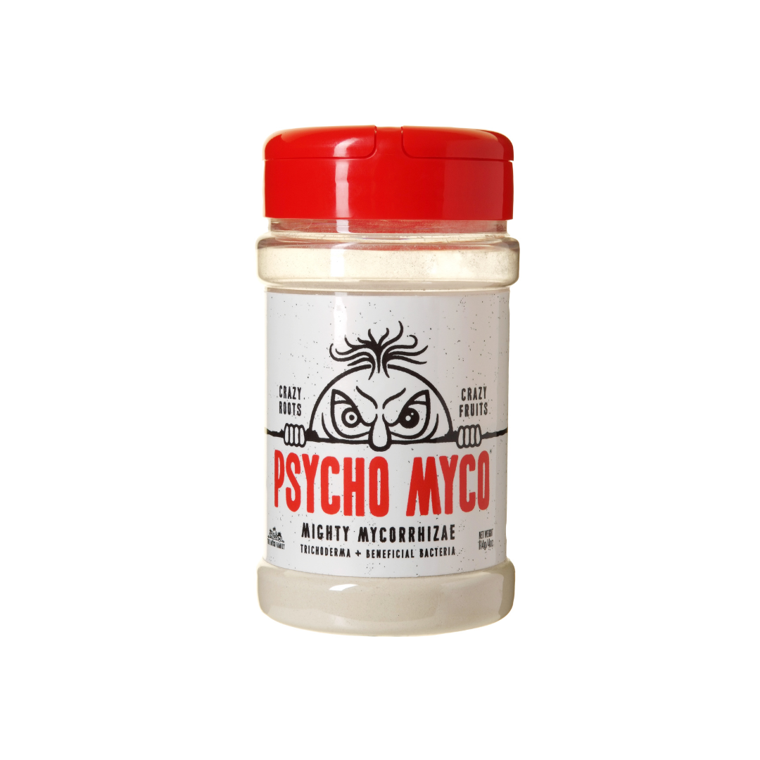 Psycho Myco – Mykorrhiza