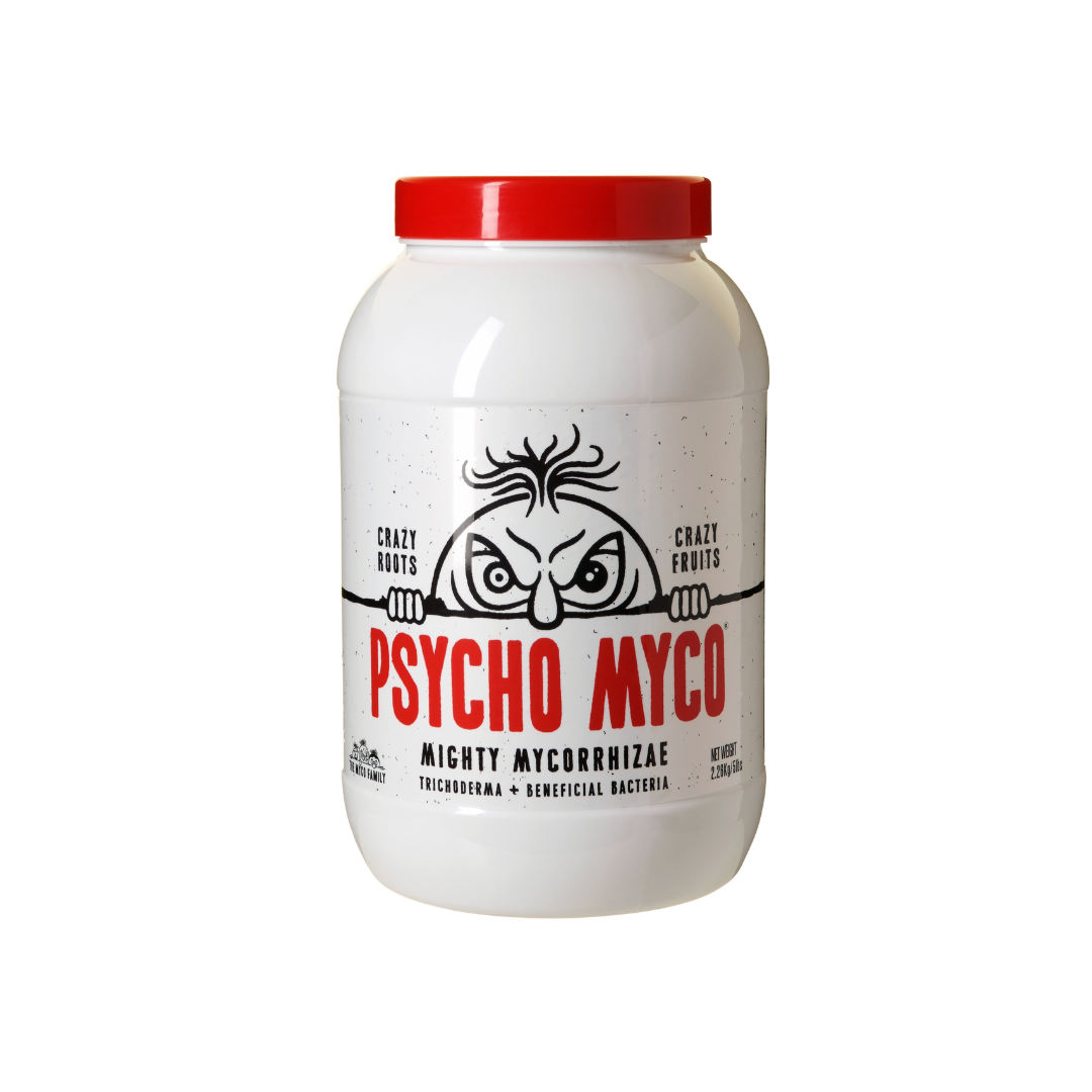 Psycho Myco – Mykorrhiza