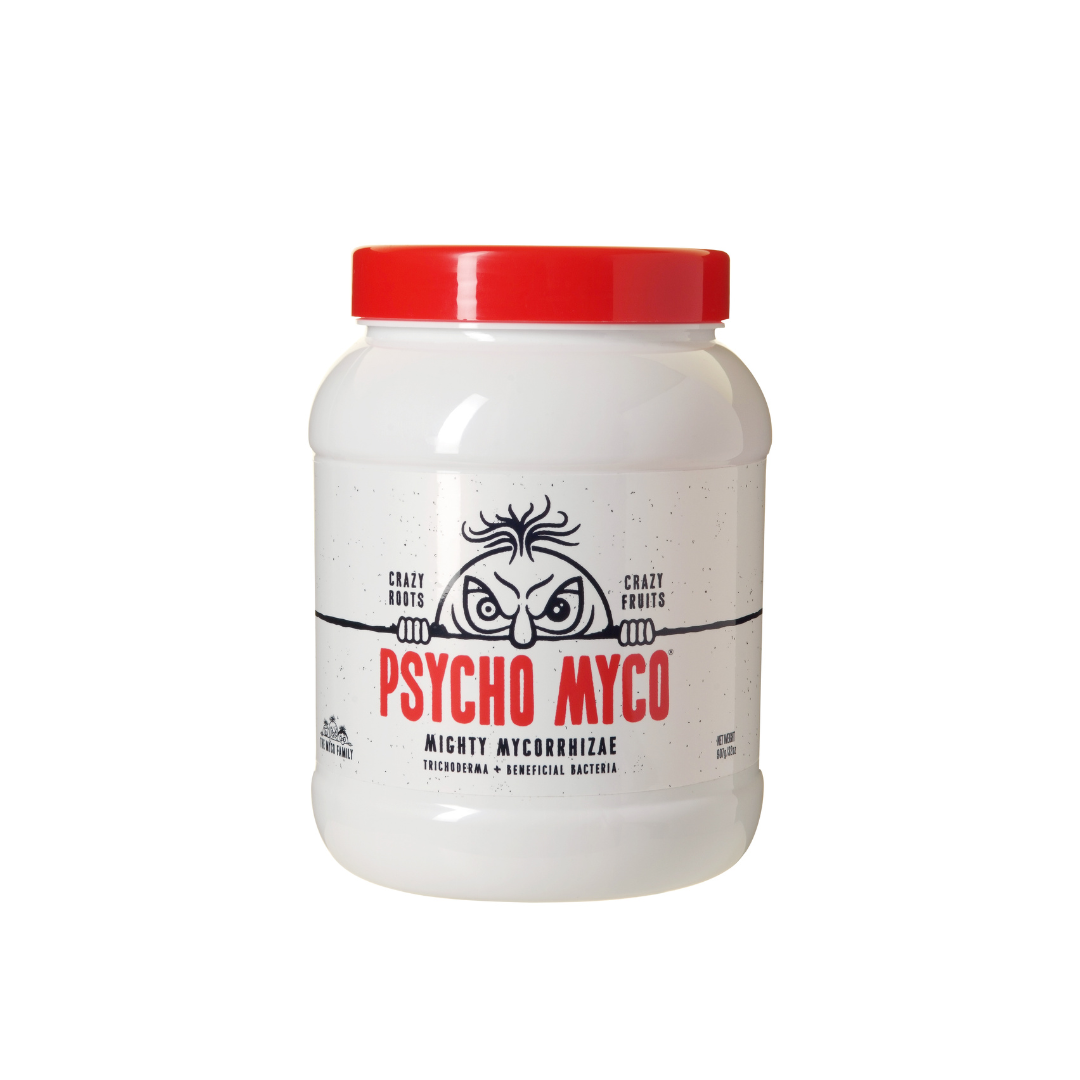 Psycho Myco – Mykorrhiza