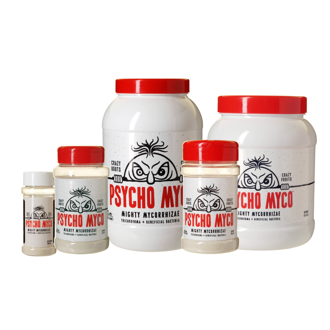 Psycho Myco – Mykorrhiza