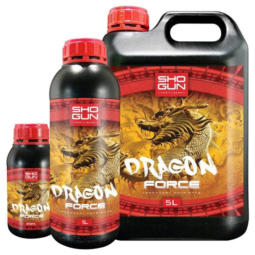 Shogun - Drachenkräfte